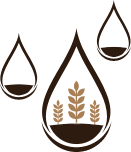 Farine selezionate e impasto